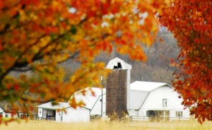 Monocacy Equine Veterinary Clinic in Maryland