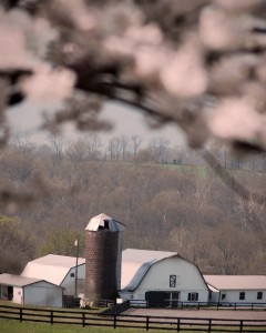 Monocacy Equine Veterinary and Dentistry Facility in Maryland